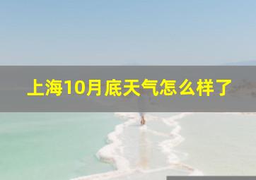 上海10月底天气怎么样了