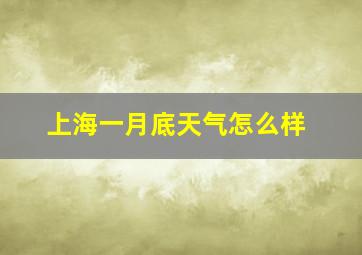 上海一月底天气怎么样