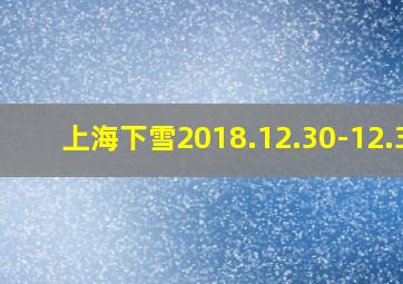 上海下雪2018.12.30-12.31