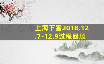 上海下雪2018.12.7-12.9过程回顾