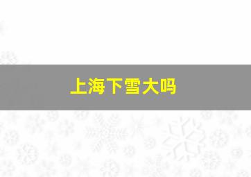 上海下雪大吗