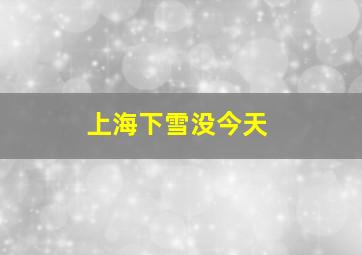 上海下雪没今天