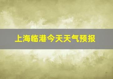 上海临港今天天气预报