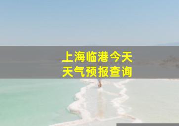 上海临港今天天气预报查询