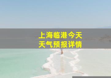 上海临港今天天气预报详情