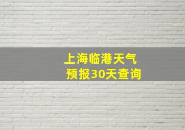 上海临港天气预报30天查询