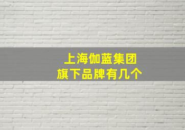 上海伽蓝集团旗下品牌有几个