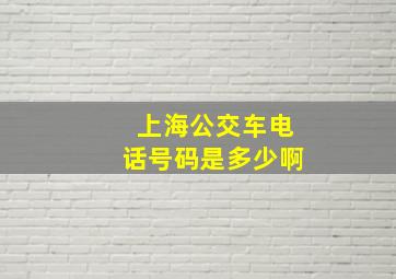 上海公交车电话号码是多少啊