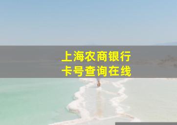 上海农商银行卡号查询在线