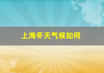 上海冬天气候如何