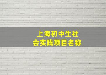 上海初中生社会实践项目名称