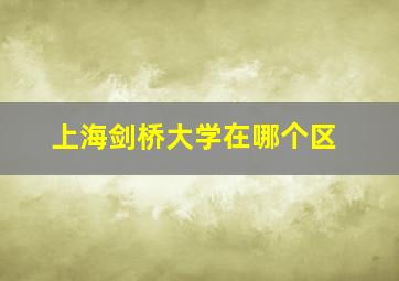 上海剑桥大学在哪个区