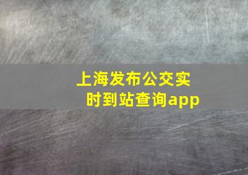 上海发布公交实时到站查询app