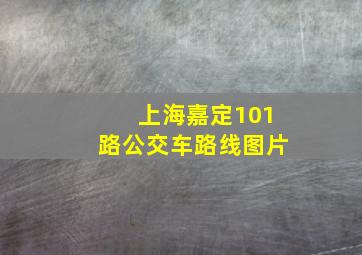 上海嘉定101路公交车路线图片