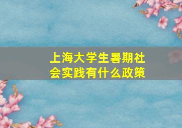 上海大学生暑期社会实践有什么政策