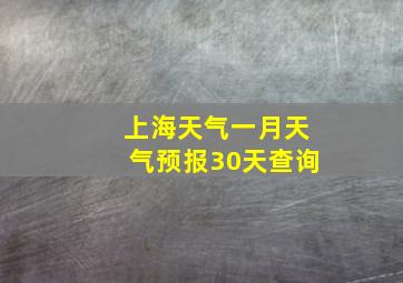 上海天气一月天气预报30天查询