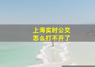 上海实时公交怎么打不开了