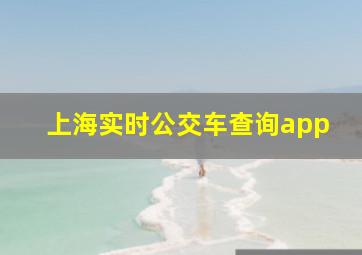 上海实时公交车查询app