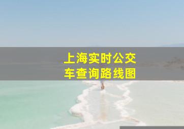 上海实时公交车查询路线图