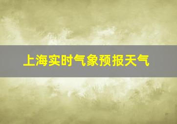 上海实时气象预报天气