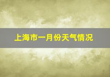 上海市一月份天气情况