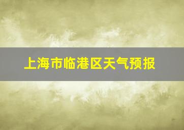 上海市临港区天气预报