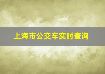 上海市公交车实时查询