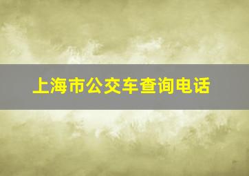 上海市公交车查询电话