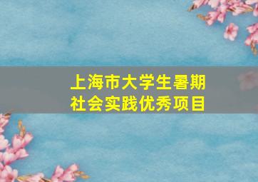 上海市大学生暑期社会实践优秀项目