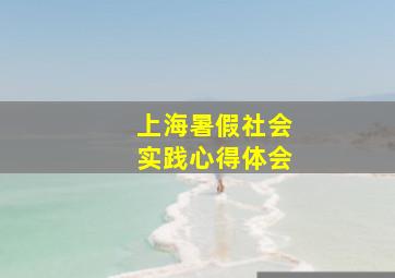 上海暑假社会实践心得体会