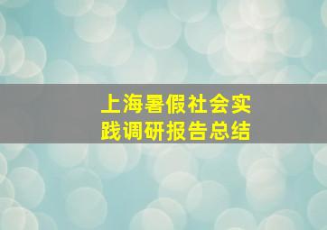 上海暑假社会实践调研报告总结