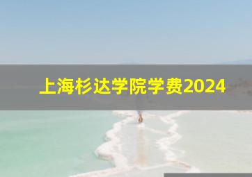 上海杉达学院学费2024