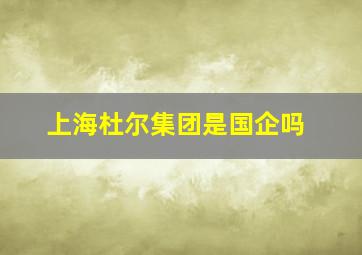 上海杜尔集团是国企吗