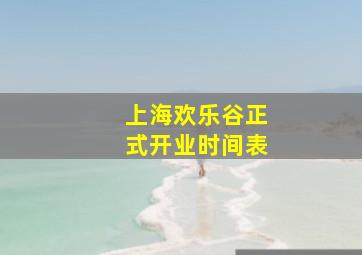 上海欢乐谷正式开业时间表