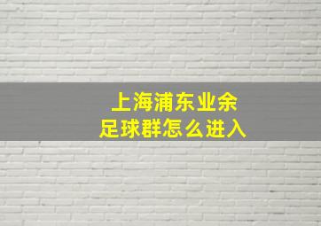 上海浦东业余足球群怎么进入