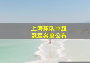 上海球队中超冠军名单公布