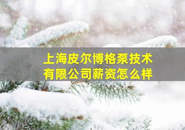 上海皮尔博格泵技术有限公司薪资怎么样