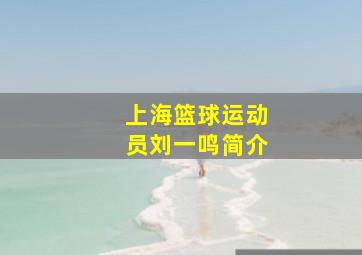 上海篮球运动员刘一鸣简介