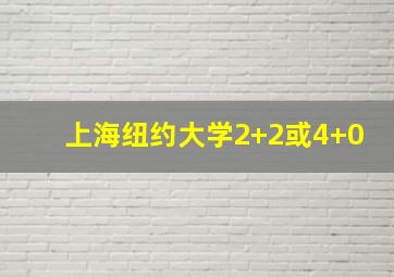 上海纽约大学2+2或4+0