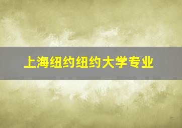 上海纽约纽约大学专业