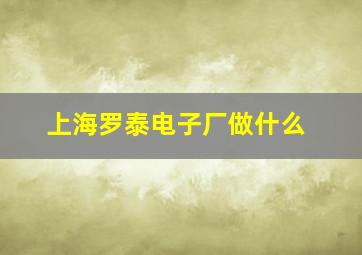 上海罗泰电子厂做什么