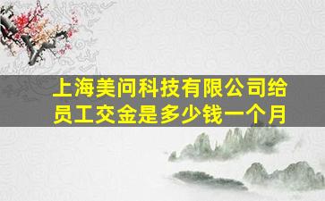 上海美问科技有限公司给员工交金是多少钱一个月