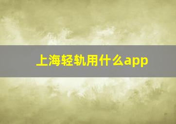 上海轻轨用什么app