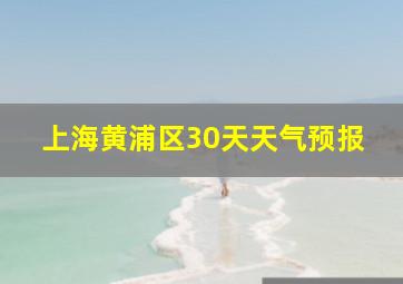 上海黄浦区30天天气预报