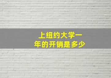 上纽约大学一年的开销是多少