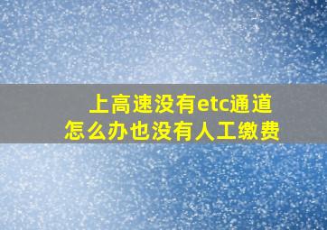 上高速没有etc通道怎么办也没有人工缴费