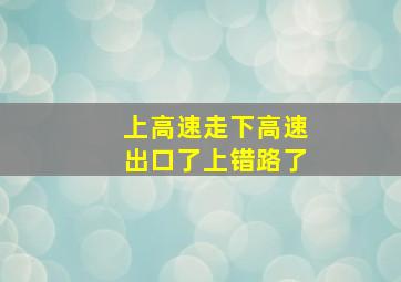 上高速走下高速出口了上错路了