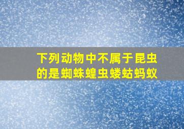 下列动物中不属于昆虫的是蜘蛛蝗虫蝼蛄蚂蚁