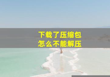 下载了压缩包怎么不能解压