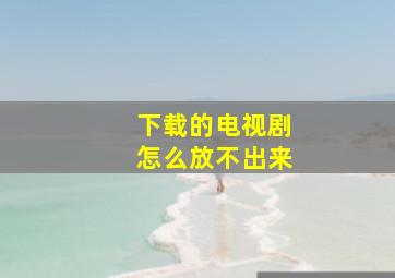 下载的电视剧怎么放不出来